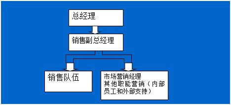 王義聊營銷第48講 營銷組織的設(shè)計(jì)與管理在安全咨詢服務(wù)領(lǐng)域的應(yīng)用